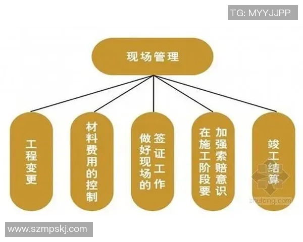 体育明星排名的标准与评估方法探讨及其影响因素分析