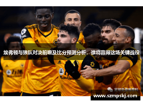 埃弗顿与狼队对决前瞻及比分预测分析，谁将赢得这场关键战役